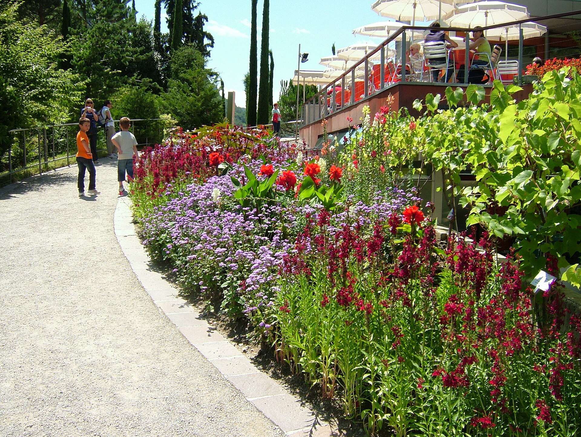 Marisol Gateway Landscape