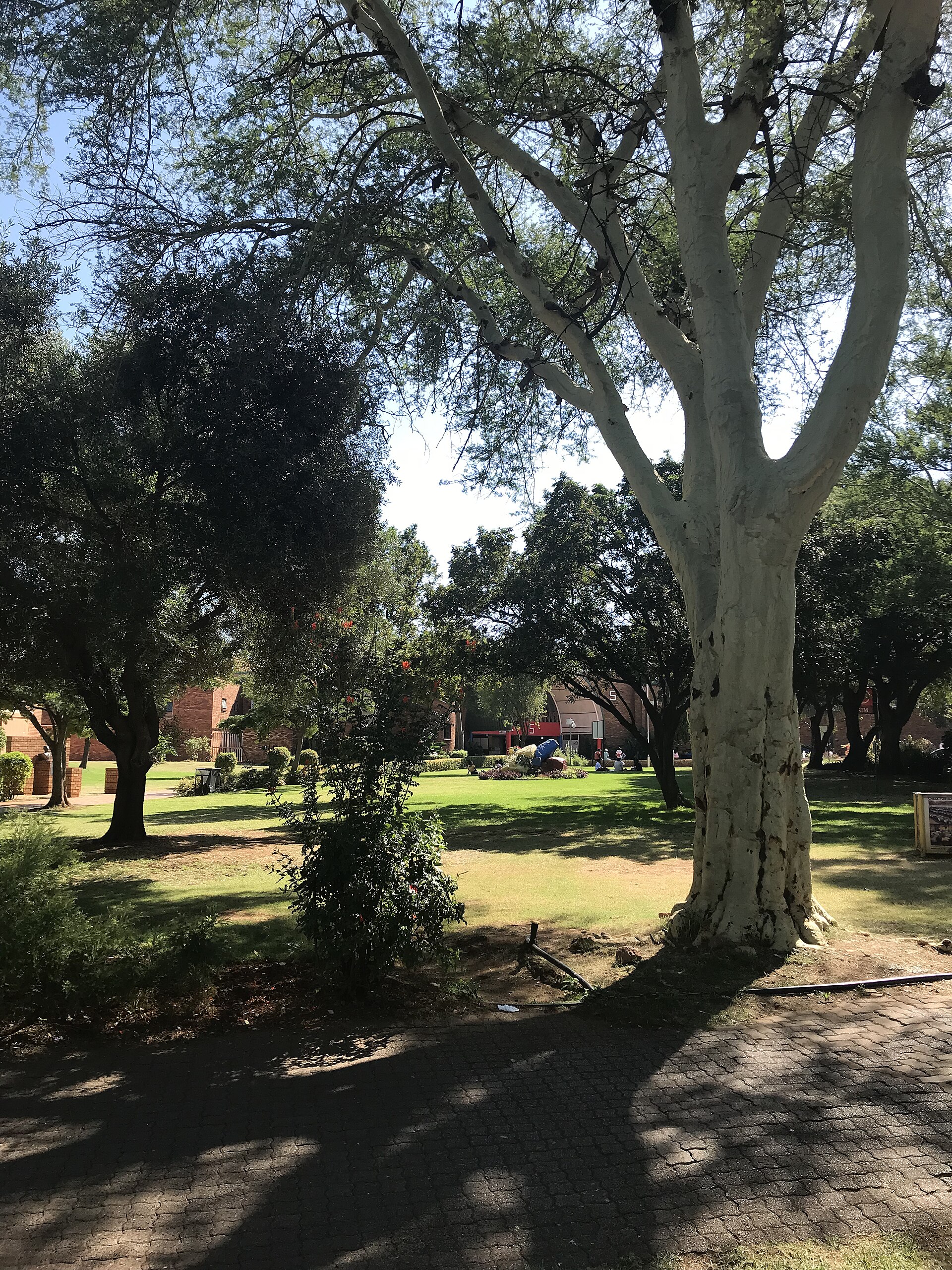 Marengo Wellness Courtyard