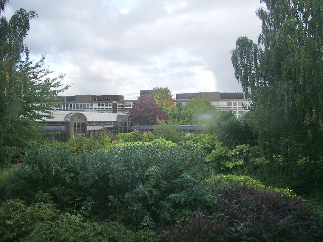 The Carlyle Campus Green