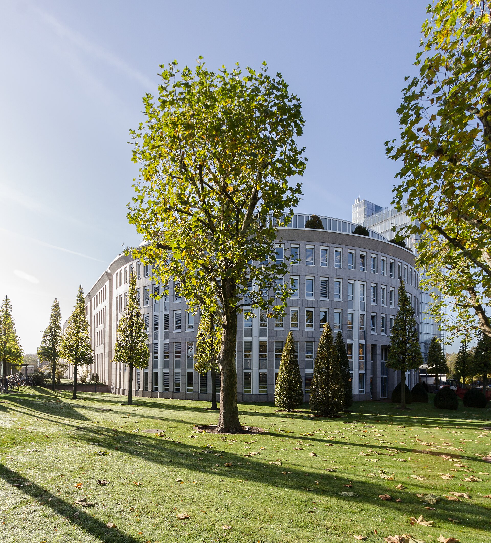The Hamptons Campus Commons