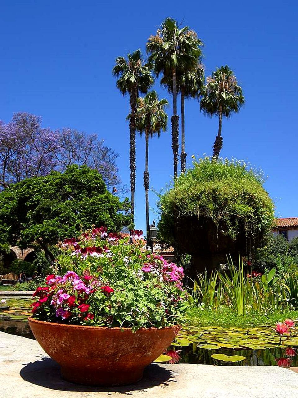 Lumière Wellness Courtyard