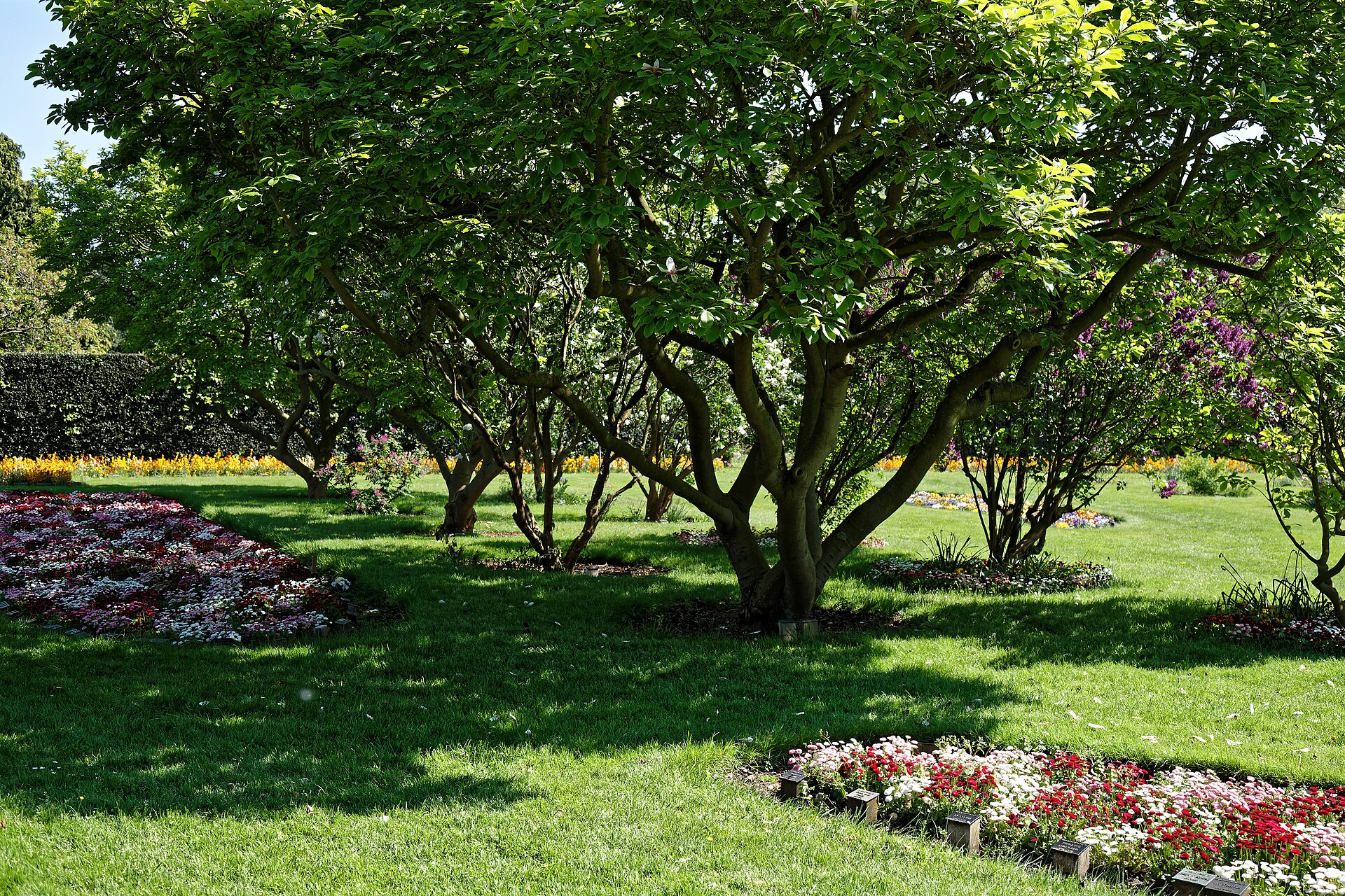 Highline Campus Green