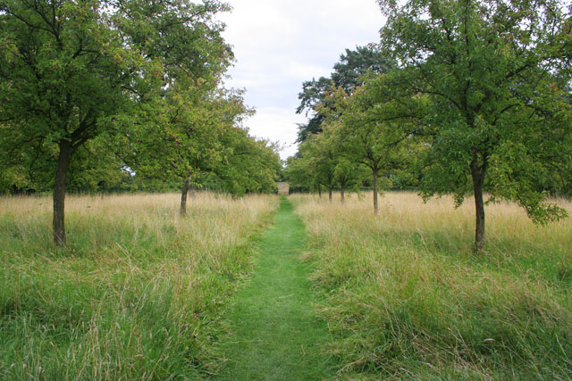 One Vesper Walled Garden