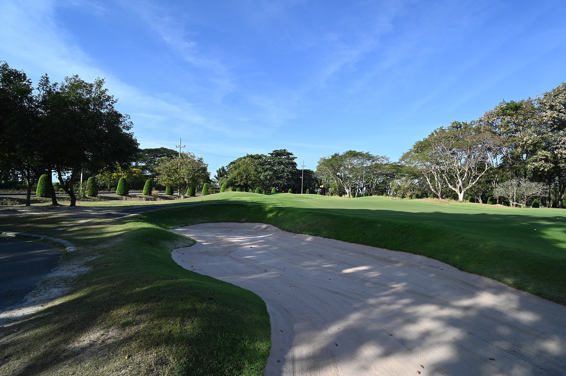 The Coronet Course Restoration