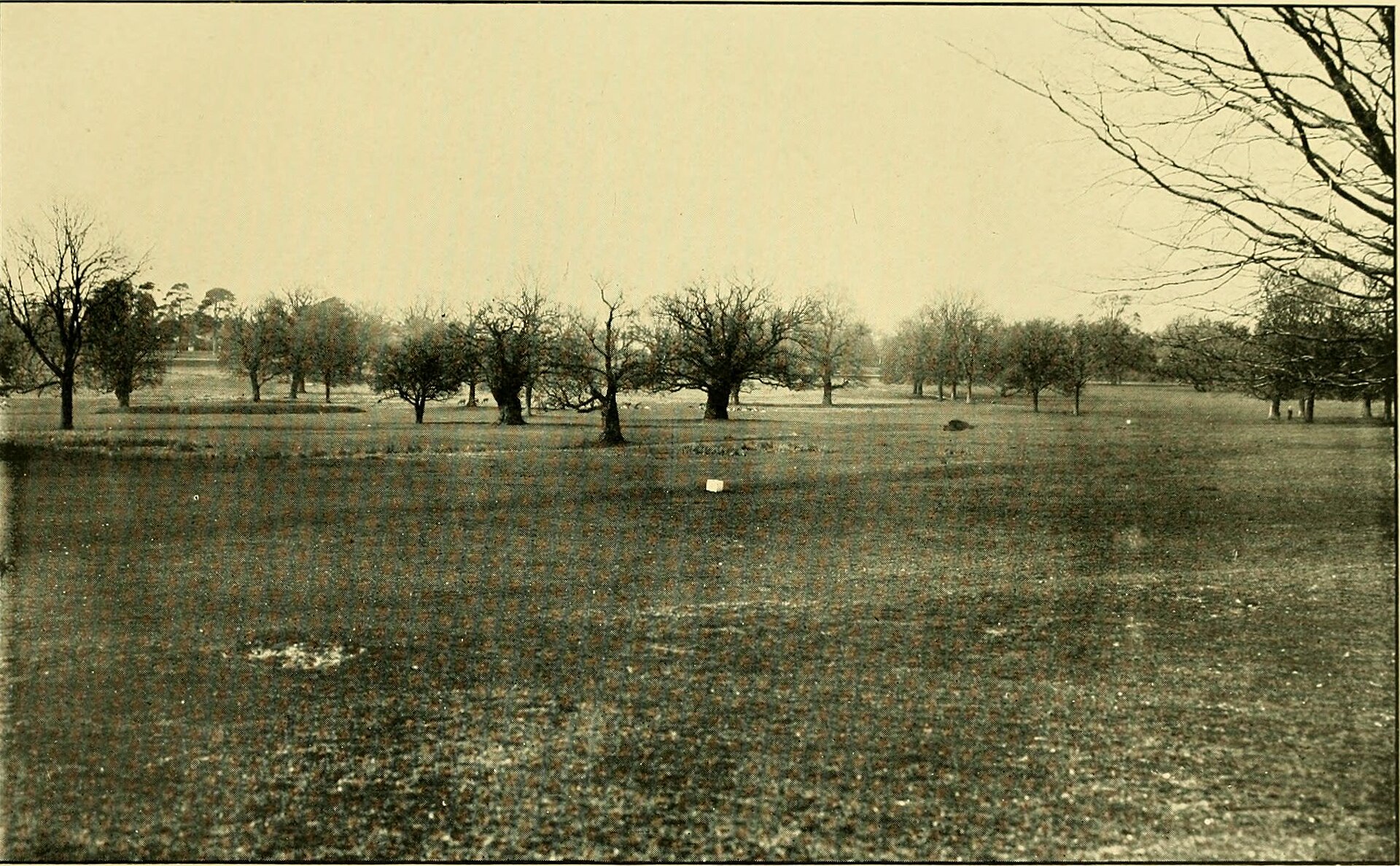 The Carlyle Championship Course