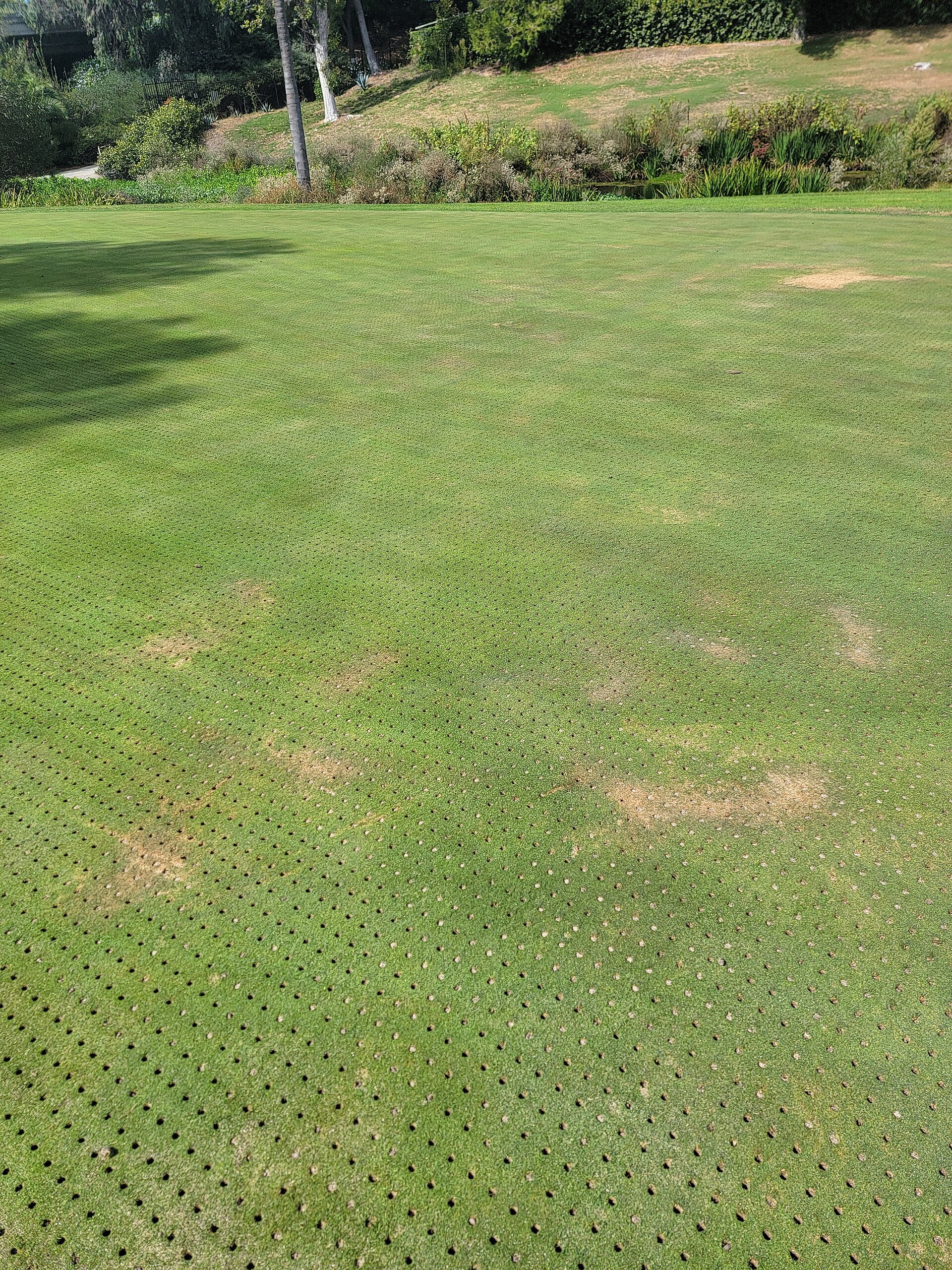 The Indigo Championship Course