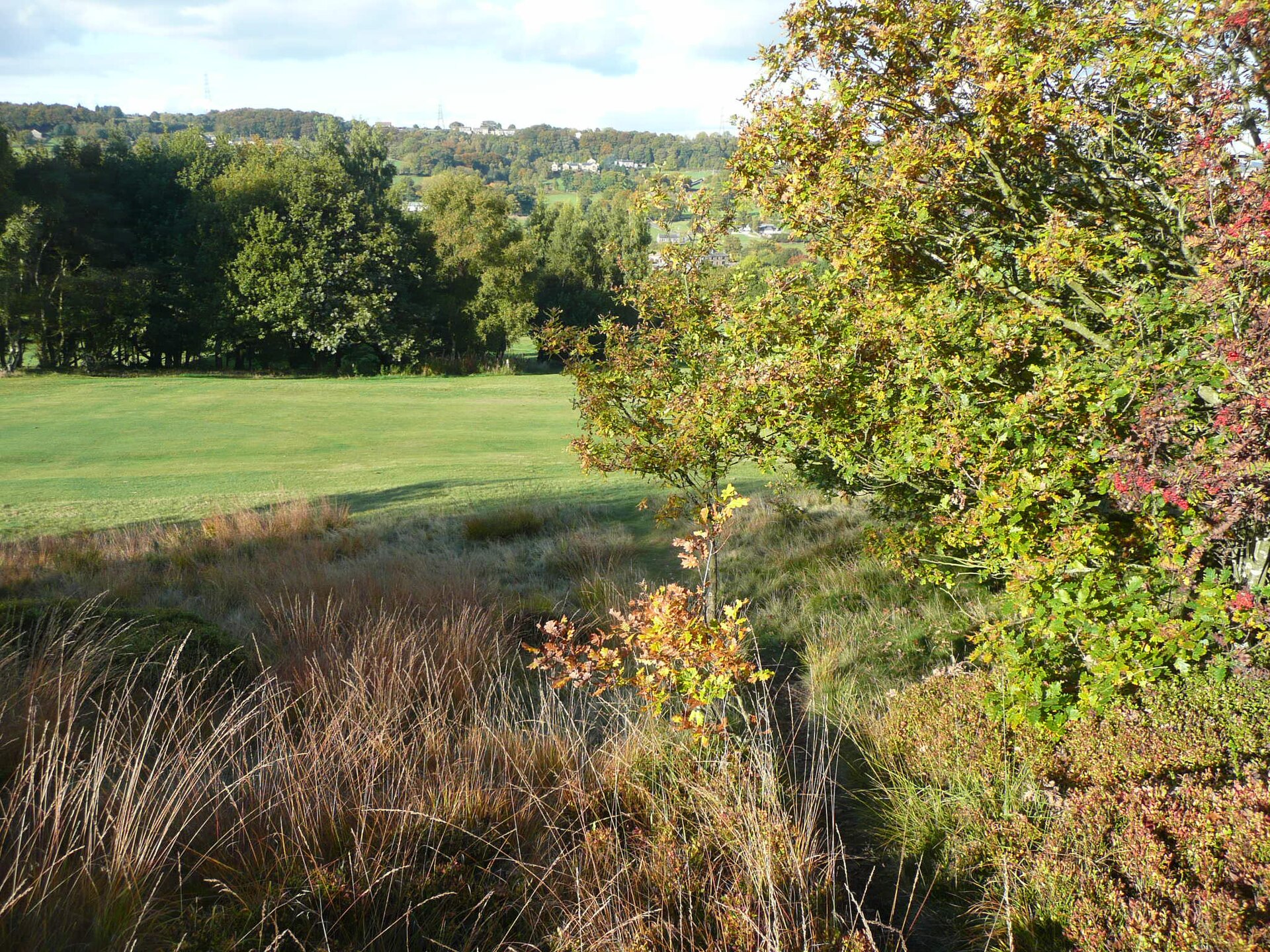 Greenwich Championship Course