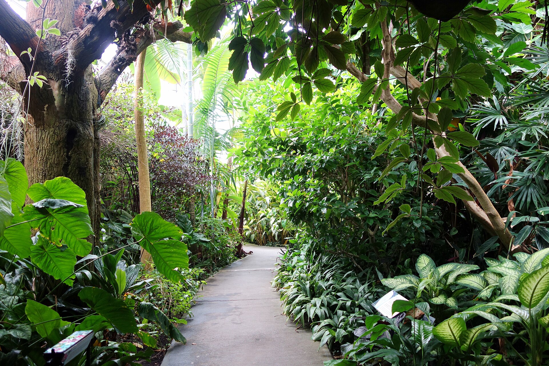 The Marisol Bayfront Gardens