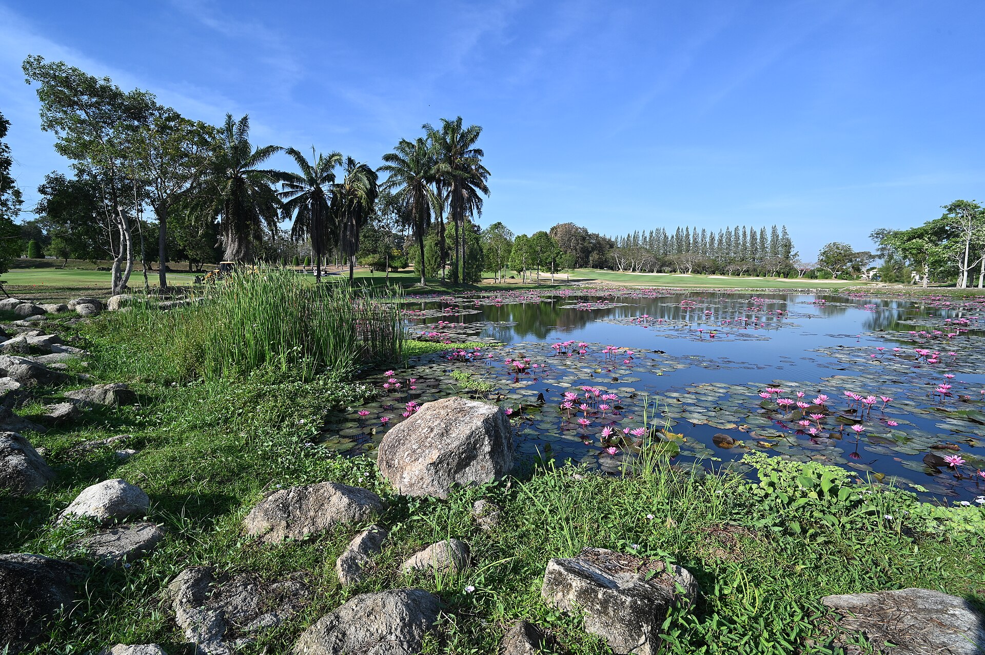 Malibu Lagoon Gardens