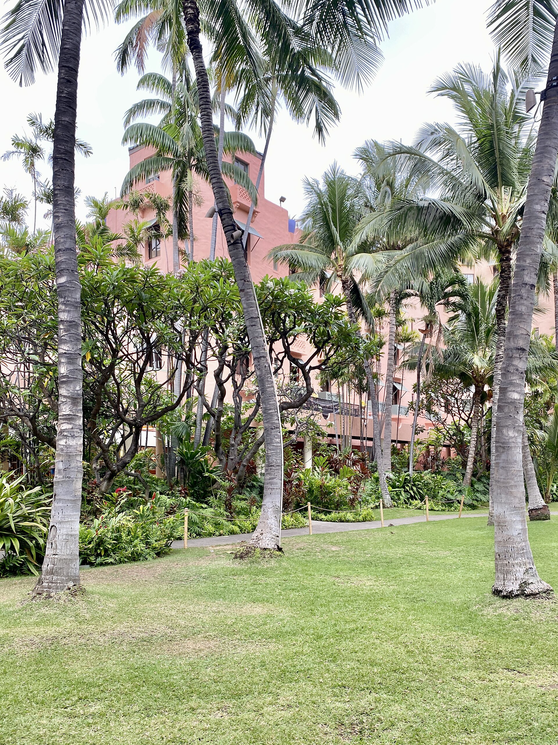Camellia Garden Sanctuary